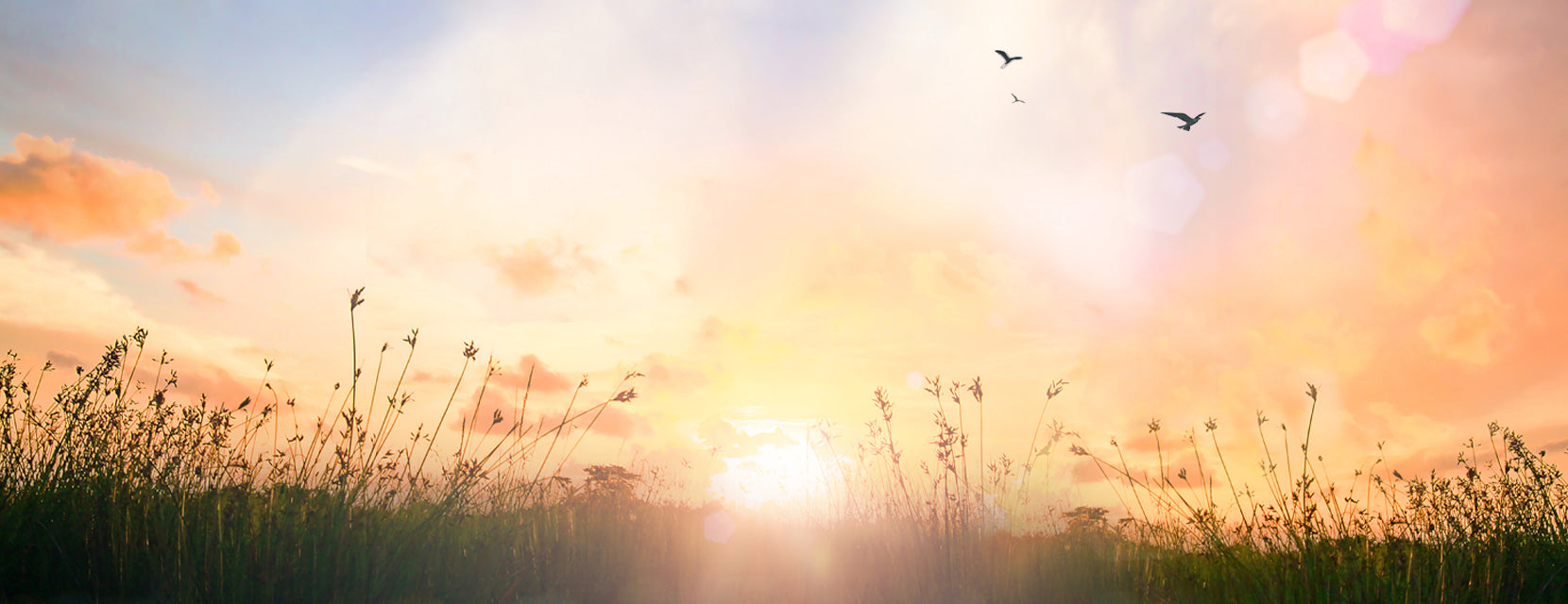 Why You Shouldn’t Ignore Your Skin’s Circadian Rhythms