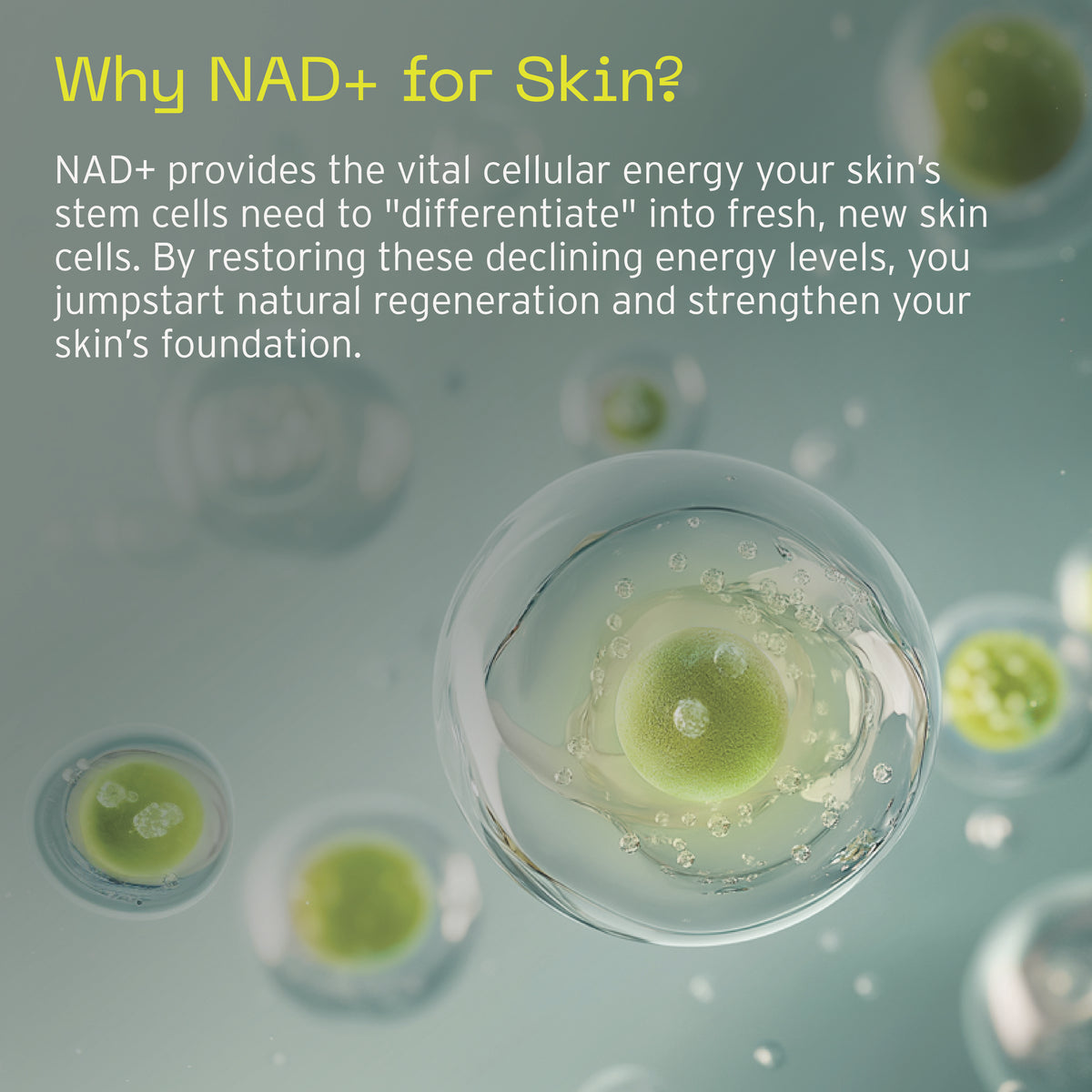 NAD+ Skin Transformation Set