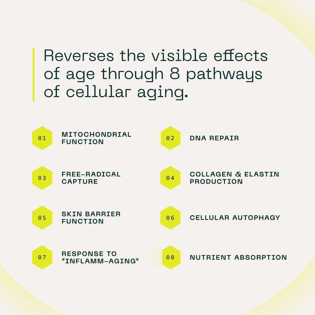 NAD+ CELL ENERGIZING SUPPLEMENT