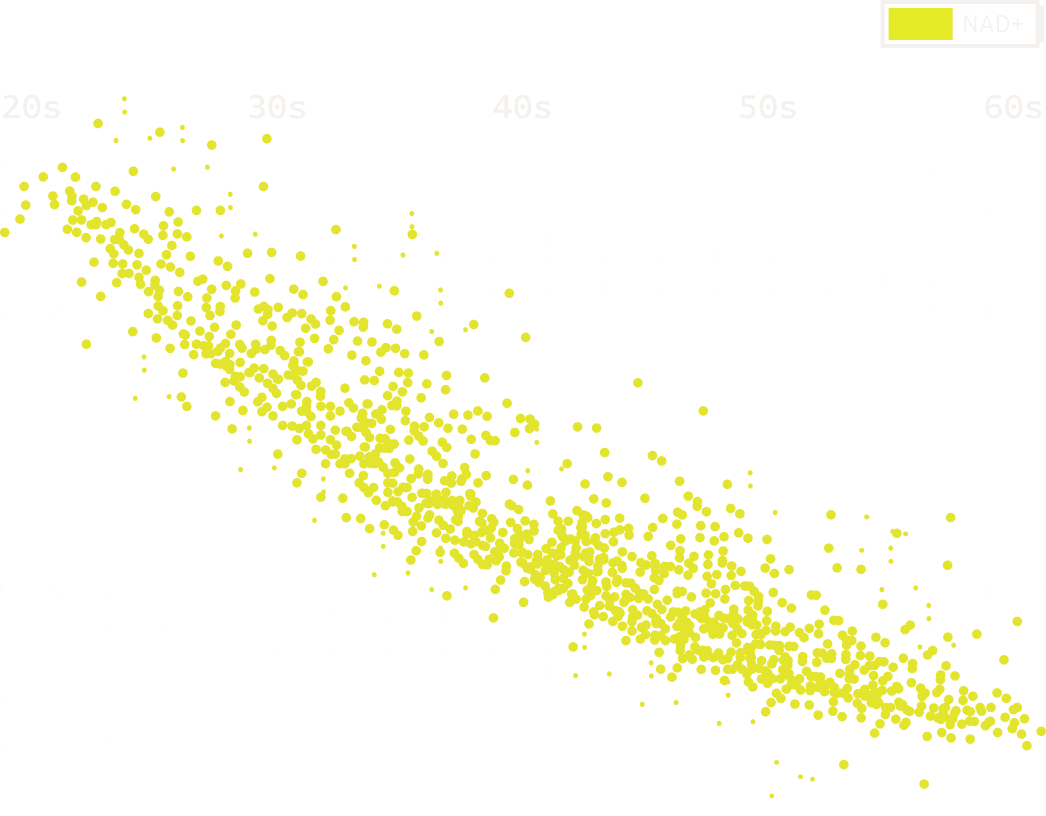 NAD+ levels decline with age
