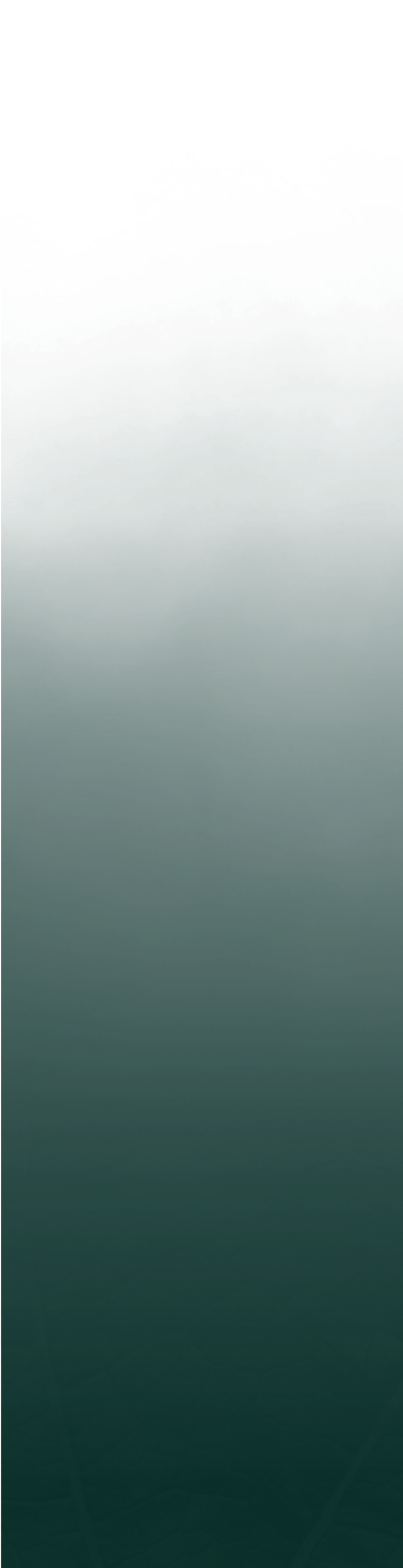Fog Background
